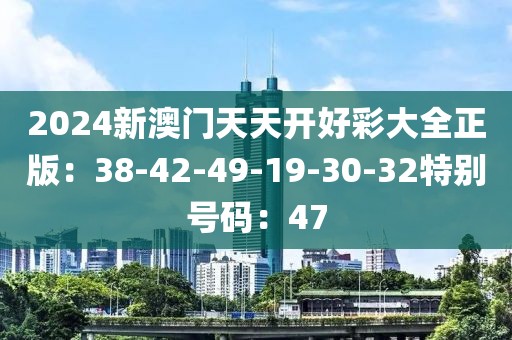 2024新澳门天天开好彩大全正版：38-42-49-19-30-32特别号码：47