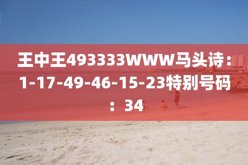 王中王493333WWW马头诗：1-17-49-46-15-23特别号码：34
