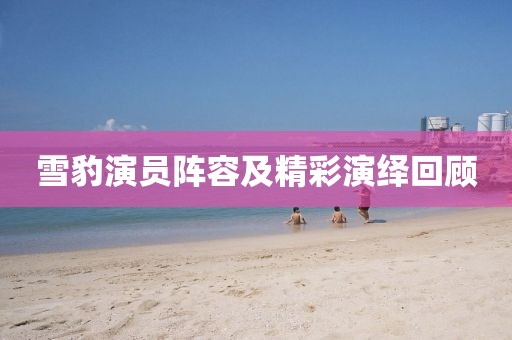 雪豹演员阵容及精彩演绎回顾