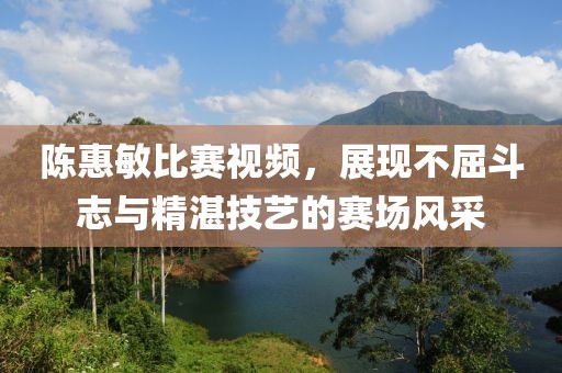 陈惠敏比赛视频，展现不屈斗志与精湛技艺的赛场风采