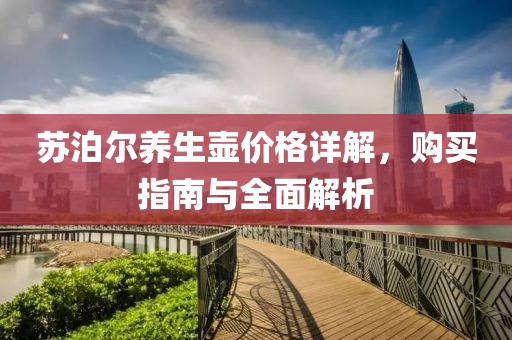 苏泊尔养生壶价格详解，购买指南与全面解析