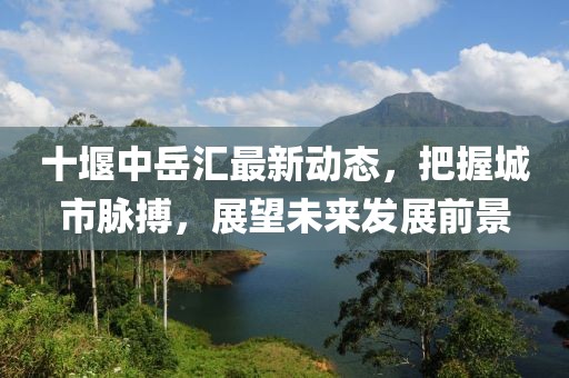 十堰中岳汇最新动态，把握城市脉搏，展望未来发展前景