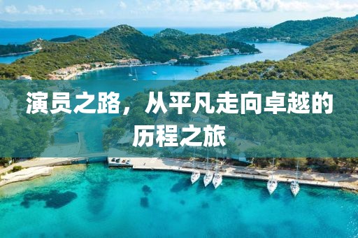演员之路，从平凡走向卓越的历程之旅