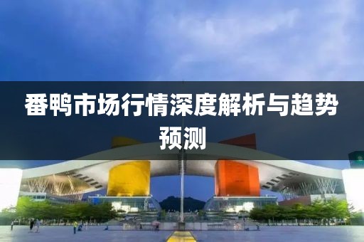 番鸭市场行情深度解析与趋势预测