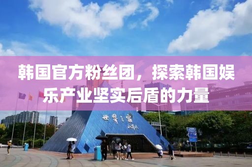 韩国官方粉丝团，探索韩国娱乐产业坚实后盾的力量