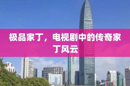 极品家丁，电视剧中的传奇家丁风云