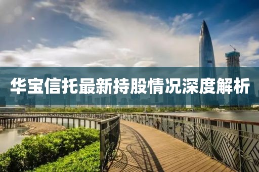 华宝信托最新持股情况深度解析