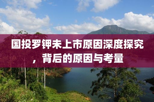 国投罗钾未上市原因深度探究，背后的原因与考量