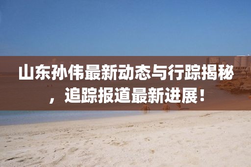 山东孙伟最新动态与行踪揭秘，追踪报道最新进展！