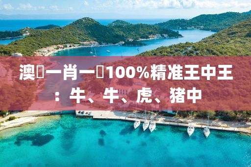 澳門一肖一碼100%精准王中王：牛、牛、虎、猪中