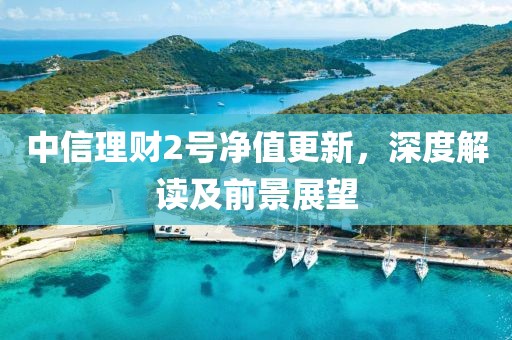 中信理财2号净值更新，深度解读及前景展望