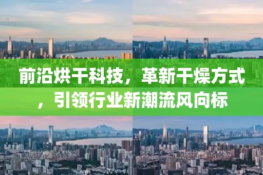 前沿烘干科技，革新干燥方式，引领行业新潮流风向标