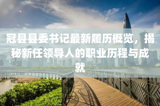 冠县县委书记最新履历概览，揭秘新任领导人的职业历程与成就