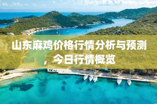 山东麻鸡价格行情分析与预测，今日行情概览