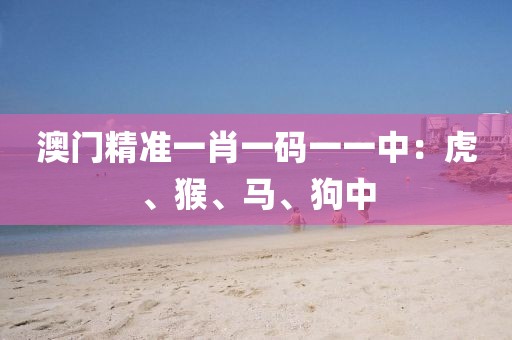 澳门精准一肖一码一一中：虎、猴、马、狗中