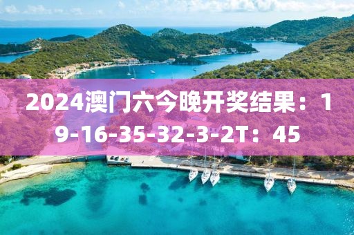 2024澳门六今晚开奖结果：19-16-35-32-3-2T：45