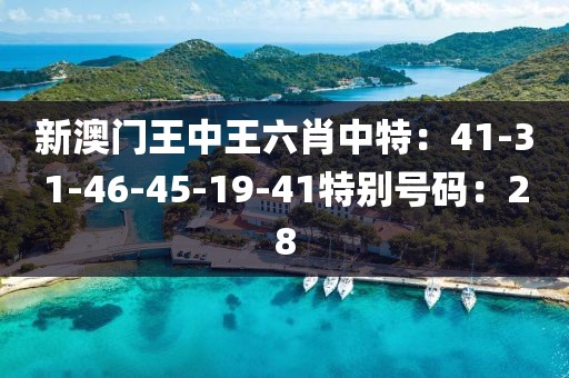新澳门王中王六肖中特：41-31-46-45-19-41特别号码：28