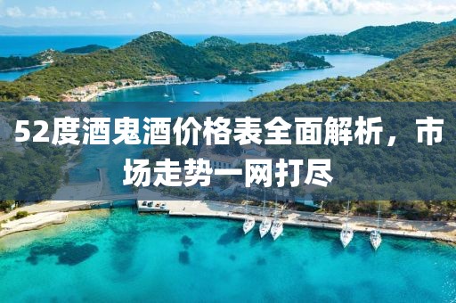 52度酒鬼酒价格表全面解析，市场走势一网打尽