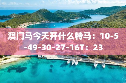 澳门马今天开什么特马：10-5-49-30-27-16T：23