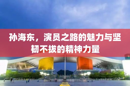 孙海东，演员之路的魅力与坚韧不拔的精神力量