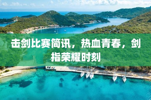 击剑比赛简讯，热血青春，剑指荣耀时刻