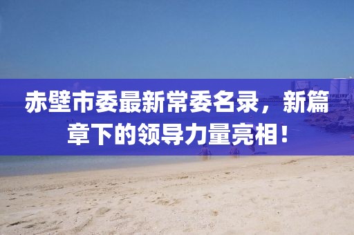 赤壁市委最新常委名录，新篇章下的领导力量亮相！