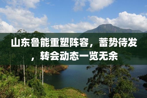 山东鲁能重塑阵容，蓄势待发，转会动态一览无余