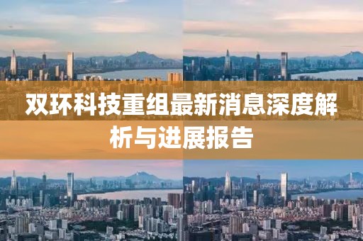 双环科技重组最新消息深度解析与进展报告
