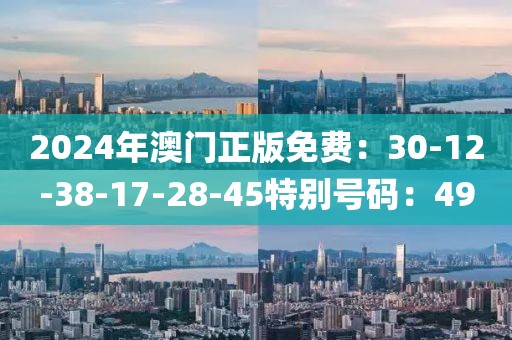 2024年澳门正版免费：30-12-38-17-28-45特别号码：49