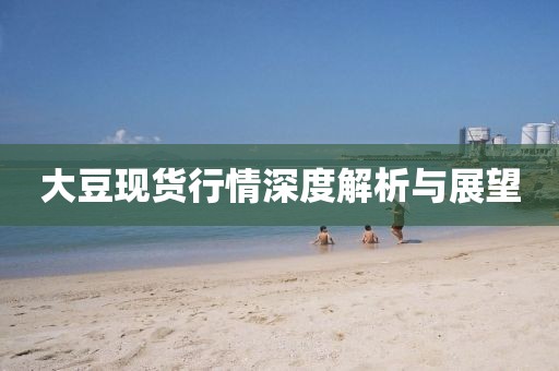 大豆现货行情深度解析与展望