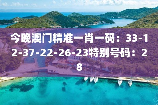 今晚澳门精准一肖一码：33-12-37-22-26-23特别号码：28