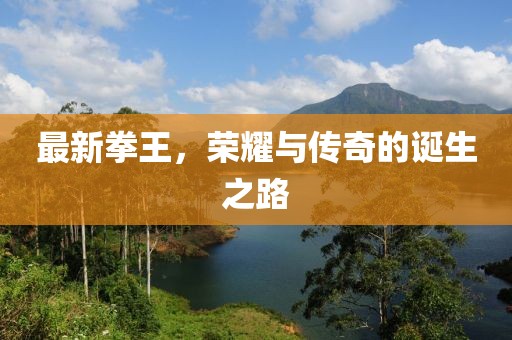 最新拳王，荣耀与传奇的诞生之路