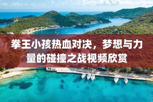 拳王小孩热血对决，梦想与力量的碰撞之战视频欣赏