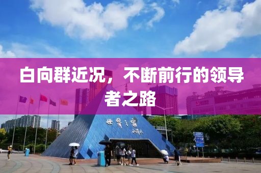 白向群近况，不断前行的领导者之路