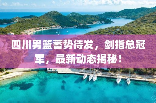 四川男篮蓄势待发，剑指总冠军，最新动态揭秘！