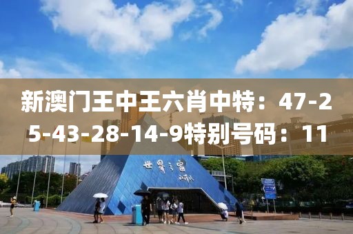 新澳门王中王六肖中特：47-25-43-28-14-9特别号码：11