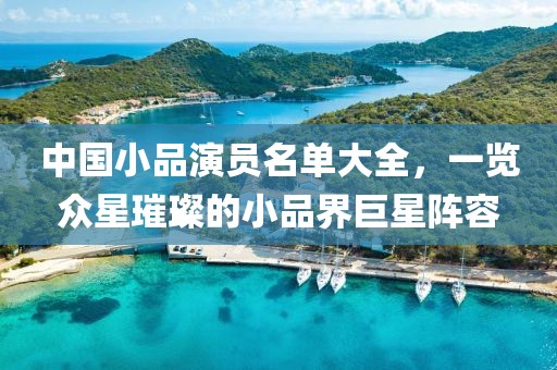 中国小品演员名单大全，一览众星璀璨的小品界巨星阵容