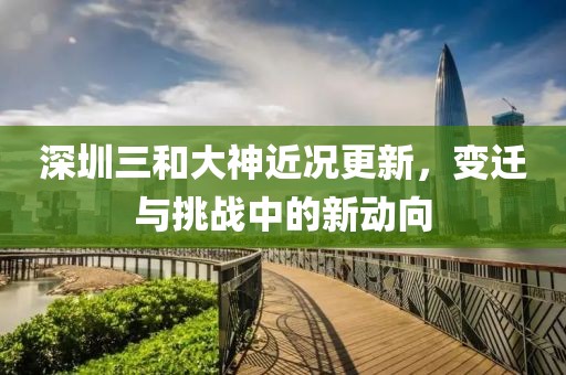 深圳三和大神近况更新，变迁与挑战中的新动向