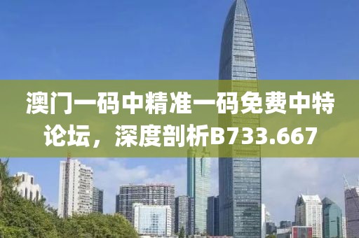 澳门一码中精准一码免费中特论坛，深度剖析B733.667