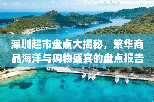 深圳超市盘点大揭秘，繁华商品海洋与购物盛宴的盘点报告