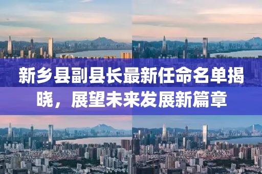 新乡县副县长最新任命名单揭晓，展望未来发展新篇章