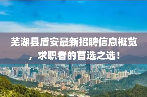 芜湖县盾安最新招聘信息概览，求职者的首选之选！