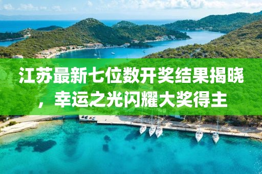 江苏最新七位数开奖结果揭晓，幸运之光闪耀大奖得主