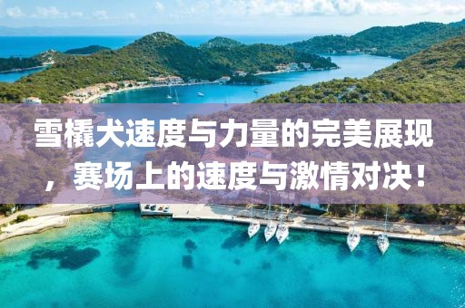 雪橇犬速度与力量的完美展现，赛场上的速度与激情对决！
