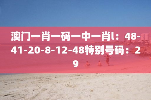澳门一肖一码一中一肖l：48-41-20-8-12-48特别号码：29
