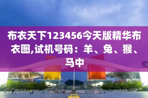 布衣天下123456今天版精华布衣图,试机号码：羊、兔、猴、马中
