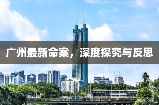 广州最新命案，深度探究与反思