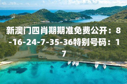 新澳门四肖期期准免费公开：8-16-24-7-35-36特别号码：17