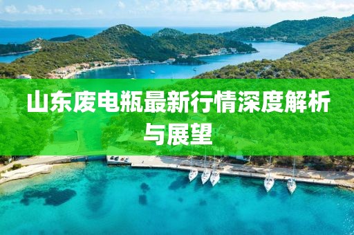 山东废电瓶最新行情深度解析与展望
