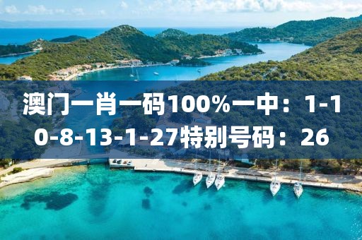 澳门一肖一码100%一中：1-10-8-13-1-27特别号码：26